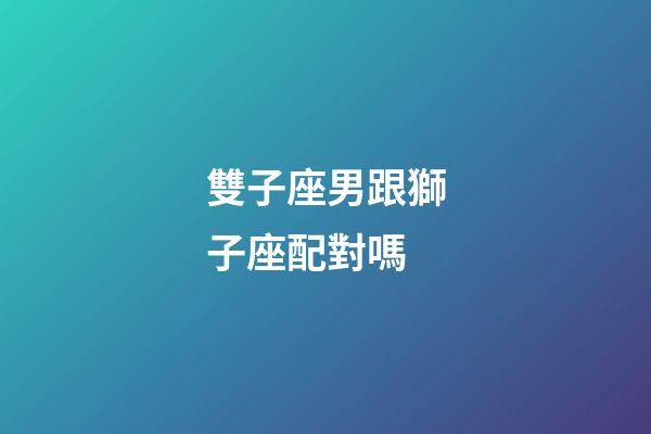 雙子座男跟獅子座配對嗎-第1張-星座運勢-玄機派