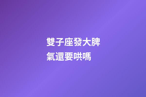 雙子座發大脾氣還要哄嗎-第1張-星座運勢-玄機派
