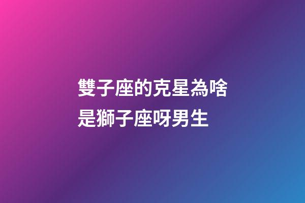 雙子座的克星為啥是獅子座呀男生-第1張-星座運勢-玄機派