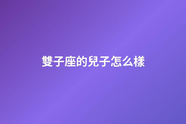 雙子座的兒子怎么樣-第1張-星座運勢-玄機派