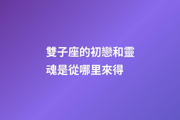 雙子座的初戀和靈魂是從哪里來得-第1張-星座運勢-玄機派