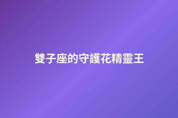 雙子座的守護花精靈王