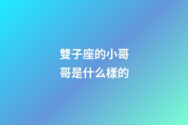 雙子座的小哥哥是什么樣的-第1張-星座運勢-玄機派