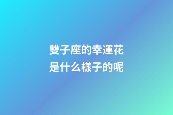 雙子座的幸運花是什么樣子的呢-第1張-星座運勢-玄機派