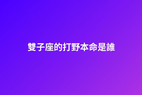 雙子座的打野本命是誰