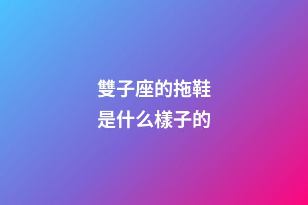 雙子座的拖鞋是什么樣子的