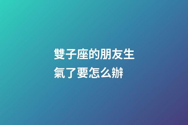 雙子座的朋友生氣了要怎么辦-第1張-星座運勢-玄機派