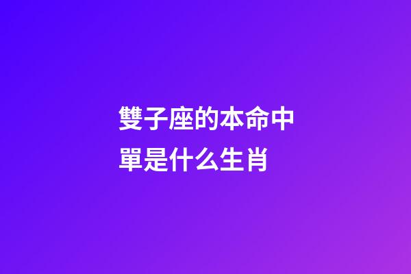 雙子座的本命中單是什么生肖-第1張-星座運勢-玄機派