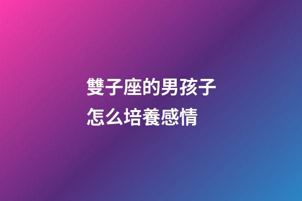 雙子座的男孩子怎么培養感情-第1張-星座運勢-玄機派
