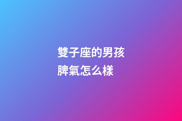 雙子座的男孩脾氣怎么樣-第1張-星座運(yùn)勢-玄機(jī)派
