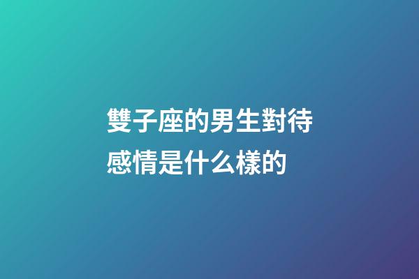 雙子座的男生對待感情是什么樣的-第1張-星座運勢-玄機派