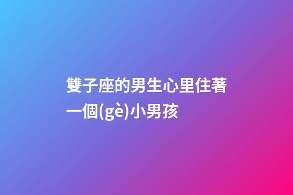 雙子座的男生心里住著一個(gè)小男孩