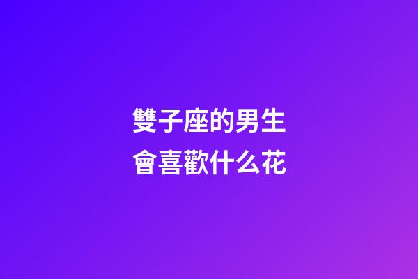 雙子座的男生會喜歡什么花-第1張-星座運勢-玄機派