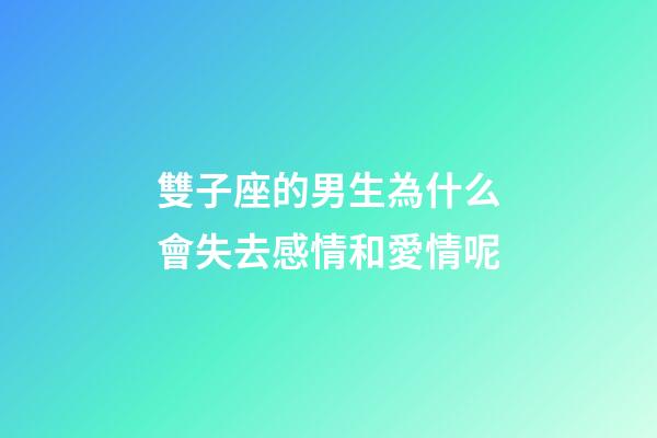 雙子座的男生為什么會失去感情和愛情呢-第1張-星座運勢-玄機派