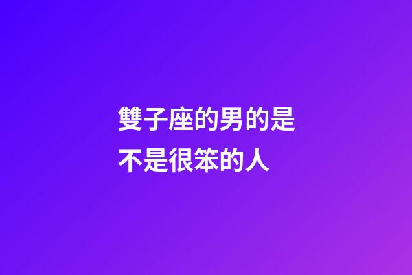 雙子座的男的是不是很笨的人-第1張-星座運勢-玄機派