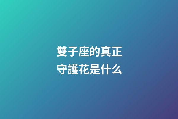 雙子座的真正守護花是什么