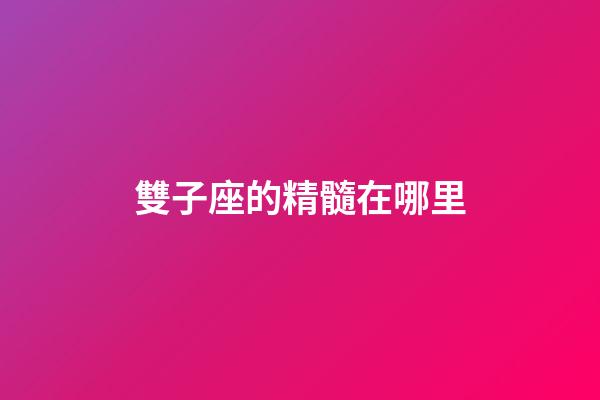 雙子座的精髓在哪里-第1張-星座運勢-玄機派