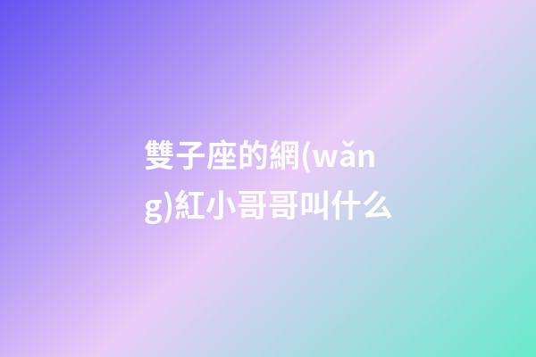 雙子座的網(wǎng)紅小哥哥叫什么-第1張-星座運(yùn)勢(shì)-玄機(jī)派