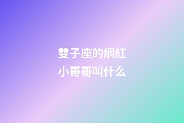 雙子座的網紅小哥哥叫什么