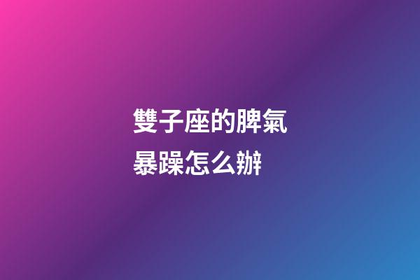雙子座的脾氣暴躁怎么辦-第1張-星座運勢-玄機派