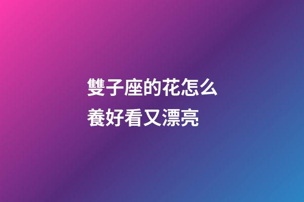 雙子座的花怎么養好看又漂亮-第1張-星座運勢-玄機派