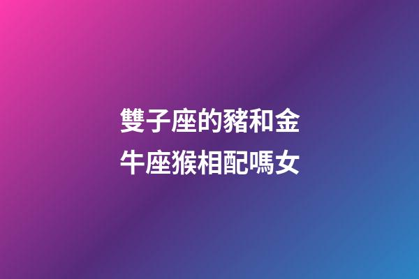 雙子座的豬和金牛座猴相配嗎女-第1張-星座運勢-玄機派