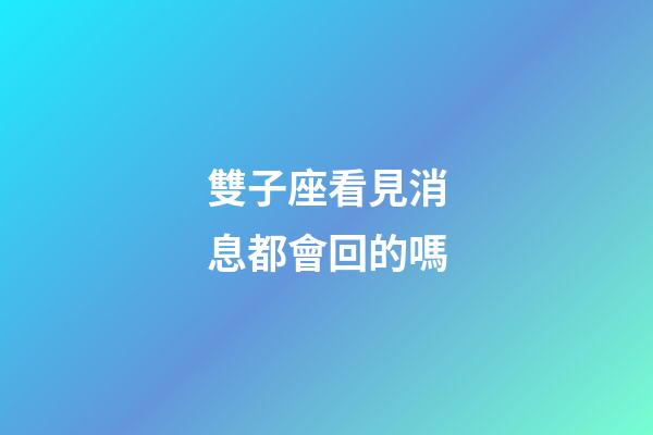 雙子座看見消息都會回的嗎-第1張-星座運勢-玄機派