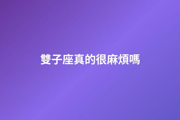 雙子座真的很麻煩嗎-第1張-星座運勢-玄機派