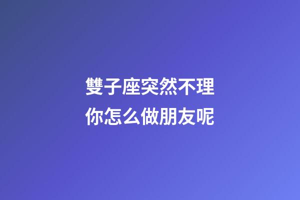 雙子座突然不理你怎么做朋友呢-第1張-星座運勢-玄機派