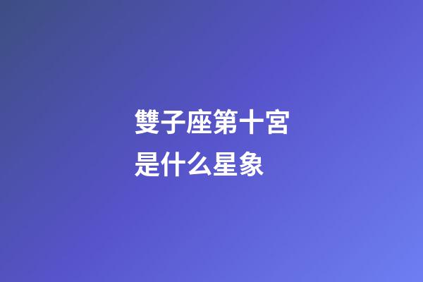 雙子座第十宮是什么星象-第1張-星座運勢-玄機派