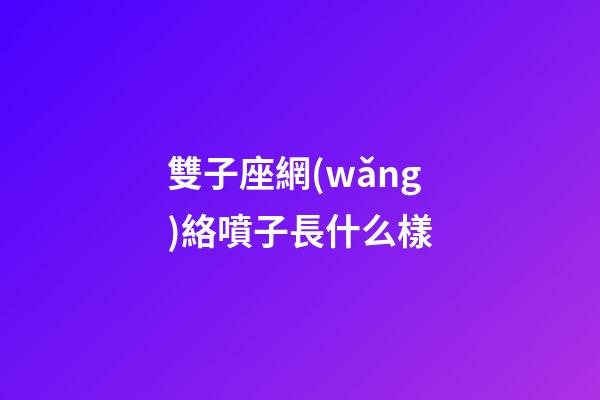 雙子座網(wǎng)絡噴子長什么樣-第1張-星座運勢-玄機派