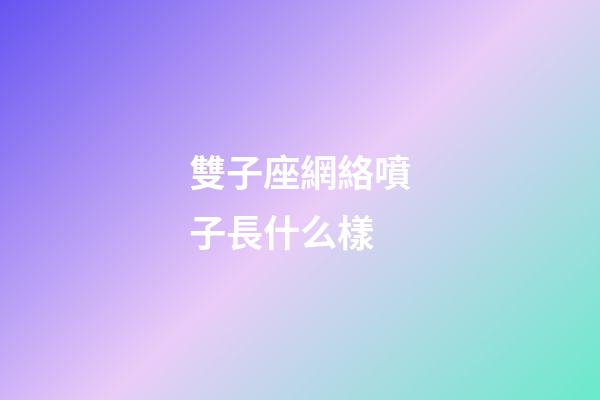雙子座網絡噴子長什么樣