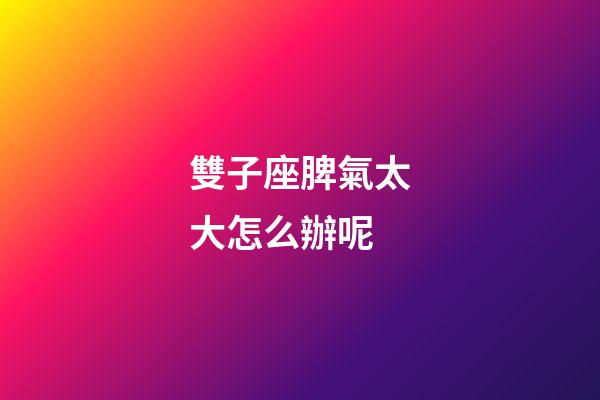 雙子座脾氣太大怎么辦呢-第1張-星座運勢-玄機派