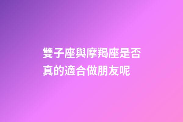 雙子座與摩羯座是否真的適合做朋友呢-第1張-星座運勢-玄機派