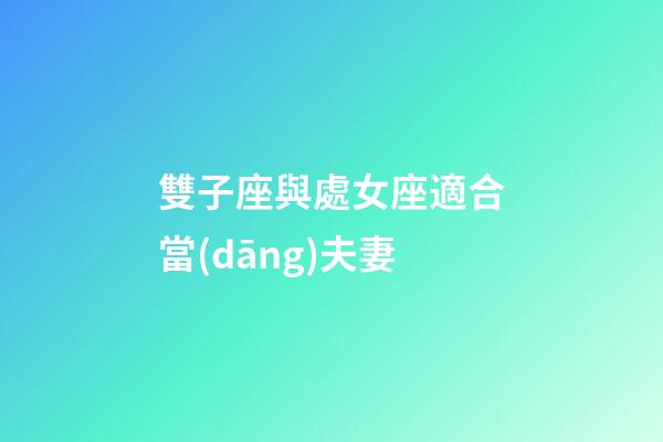 雙子座與處女座適合當(dāng)夫妻-第1張-星座運勢-玄機(jī)派