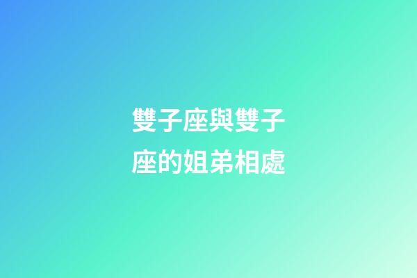 雙子座與雙子座的姐弟相處-第1張-星座運(yùn)勢(shì)-玄機(jī)派