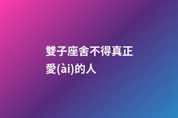 雙子座舍不得真正愛(ài)的人-第1張-星座運(yùn)勢(shì)-玄機(jī)派