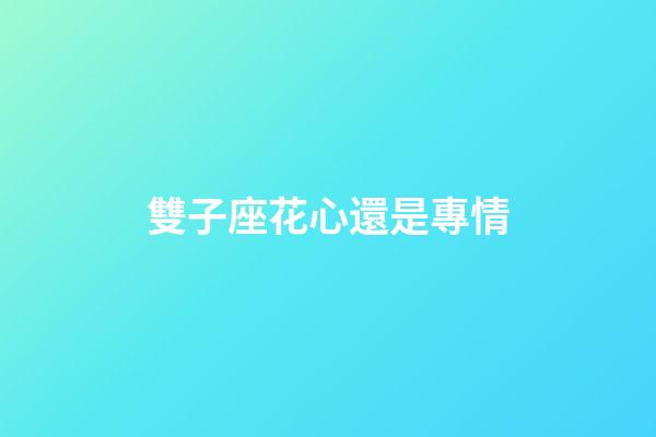 雙子座花心還是專情-第1張-星座運勢-玄機派