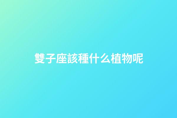 雙子座該種什么植物呢-第1張-星座運勢-玄機派