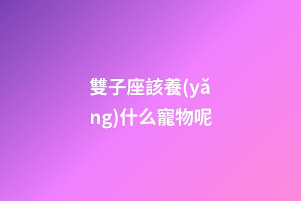 雙子座該養(yǎng)什么寵物呢-第1張-星座運(yùn)勢(shì)-玄機(jī)派