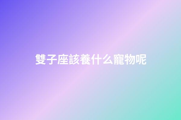 雙子座該養什么寵物呢