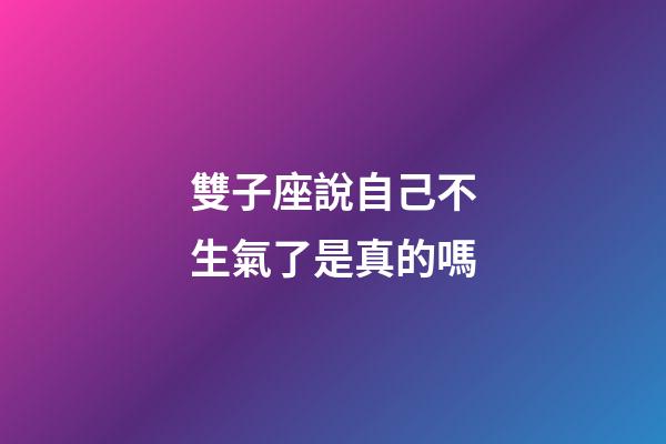 雙子座說自己不生氣了是真的嗎-第1張-星座運勢-玄機派
