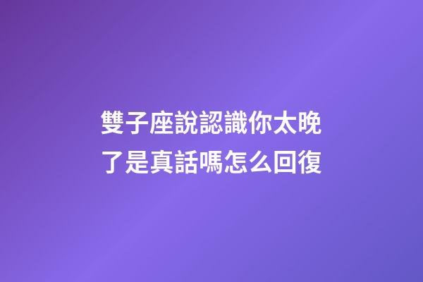 雙子座說認識你太晚了是真話嗎怎么回復-第1張-星座運勢-玄機派