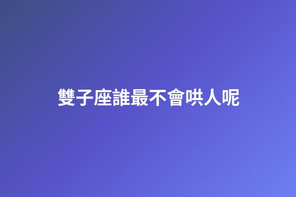 雙子座誰最不會哄人呢-第1張-星座運勢-玄機派