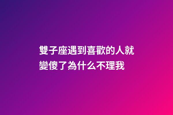 雙子座遇到喜歡的人就變傻了為什么不理我-第1張-星座運勢-玄機派