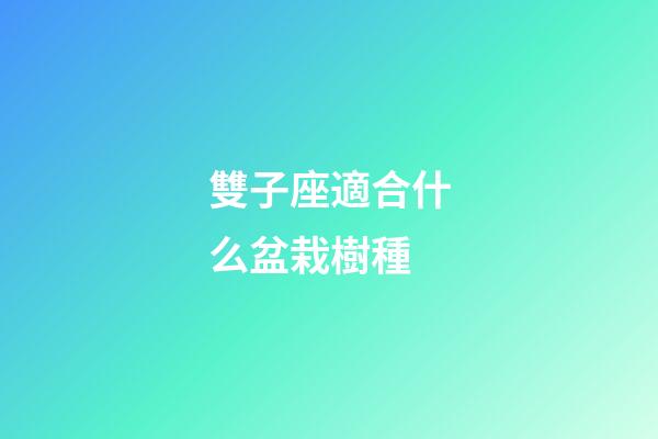 雙子座適合什么盆栽樹種-第1張-星座運勢-玄機派