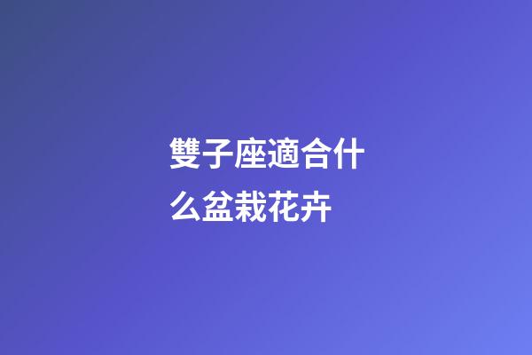 雙子座適合什么盆栽花卉
