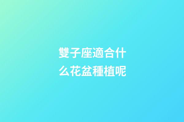 雙子座適合什么花盆種植呢