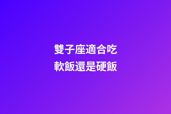 雙子座適合吃軟飯還是硬飯