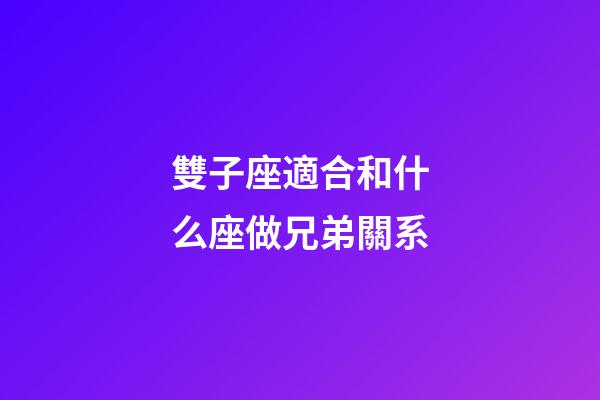 雙子座適合和什么座做兄弟關系-第1張-星座運勢-玄機派